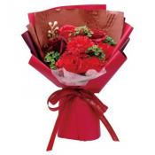 パルフェブーケ　クリアケース付　レッド