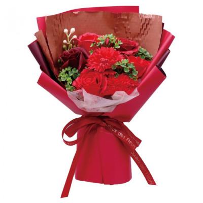 パルフェブーケ　クリアケース付　レッド