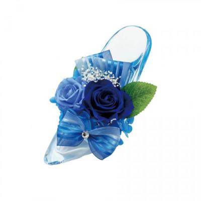 プリメヌエット　デラックス ブルー/ブルー