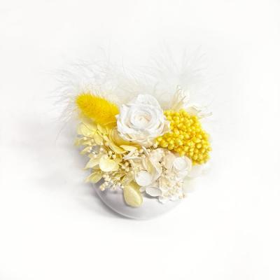 プリュム・フルール　●イエロー●