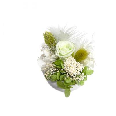 プリュム・フルール　●グリーン●